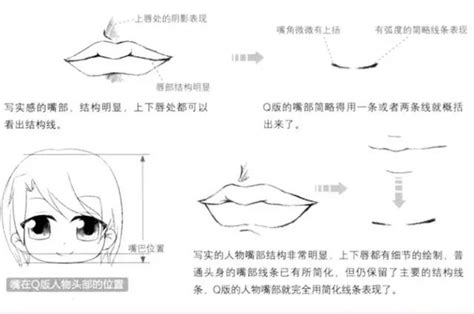 漫畫 嘴巴|嘴巴怎麼畫？ I 嘴巴的解剖和表情